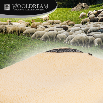 Kołdra z wełny owczej Merynos Australijski Tumbler Wooldream