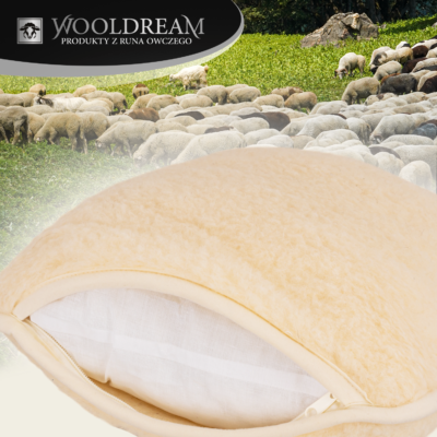 Poduszka z wełny owczej Merynos Australijski Wooldream
