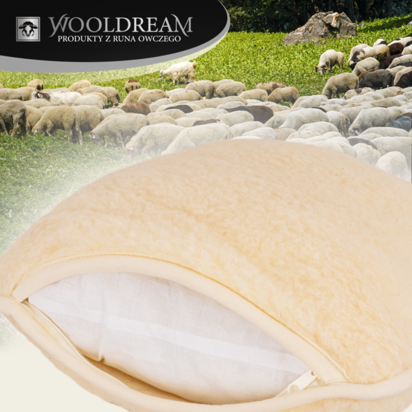 Poduszka z wełny owczej Merynos Australijski Wooldream