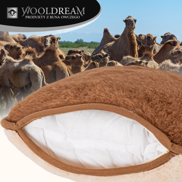 Poduszka wełniana z domieszką wełny wielbłądziej Camel Wooldream