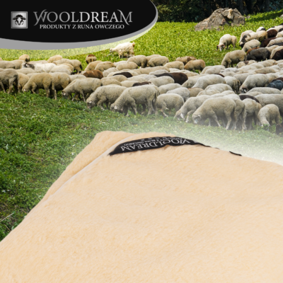 Kołdra z wełny owczej Merynos Australijski Wooldream
