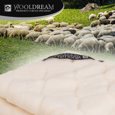 Prześcieradło wełniane z domieszką wełny kaszmirowej Wooldream