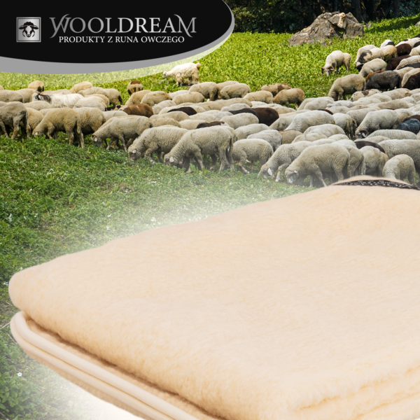 Prześcieradło z wełny owczej Merynos Australijski Wooldream