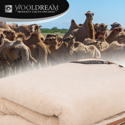 Kołdra wełniana z domieszką wełny wielbłądziej Camel Wooldream