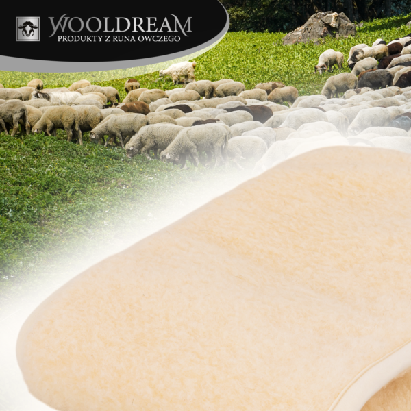 Pas lędźwiowy na kręgosłup ocieplający wełniany Wooldream