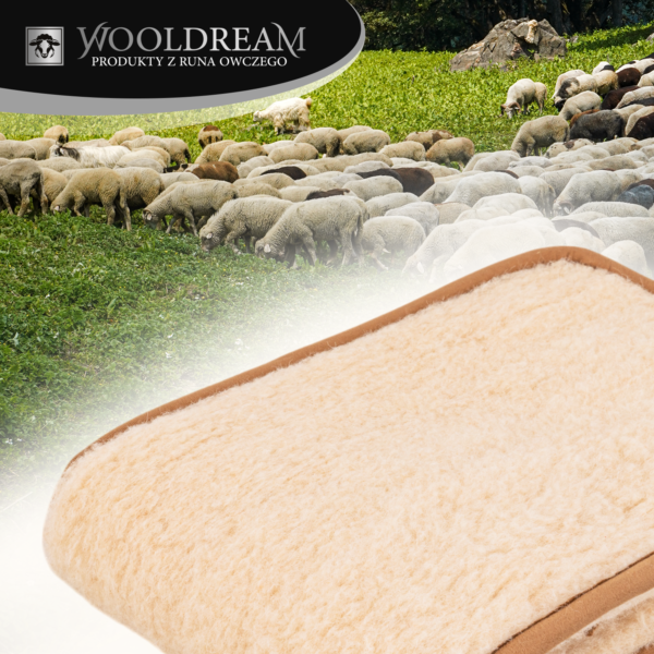 Pas lędźwiowy na kręgosłup ocieplający wełniany Wooldream