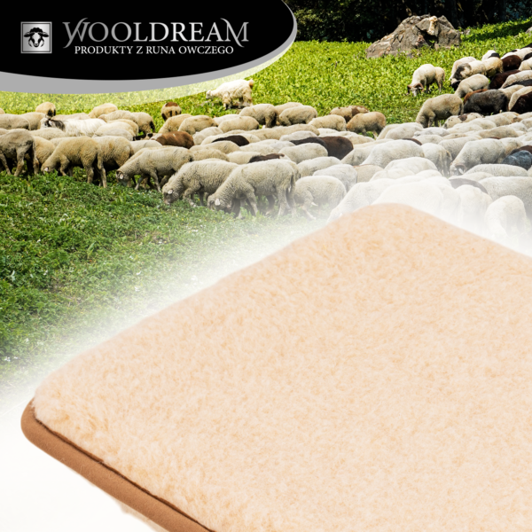 Poduszka/siedzisko na krzesło z wełny owczej Wooldream