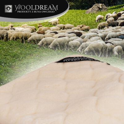 Kołdra wełniana z domieszką wełny kaszmirowej Wooldream