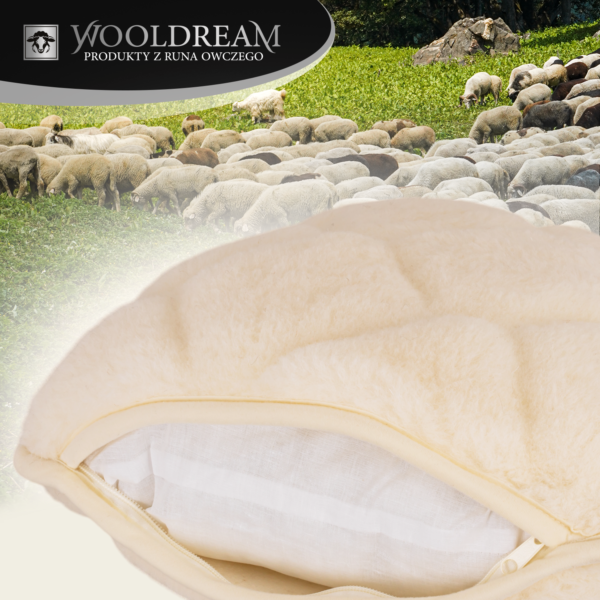 Poduszka wełniana z domieszką wełny kaszmirowej Wooldream